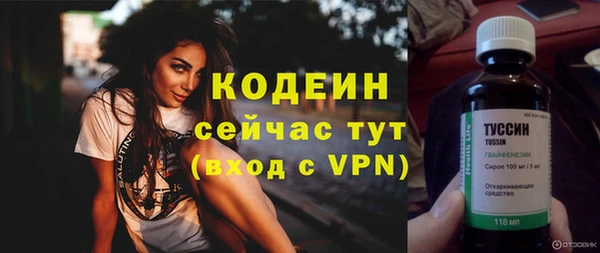 молекула духа Бородино
