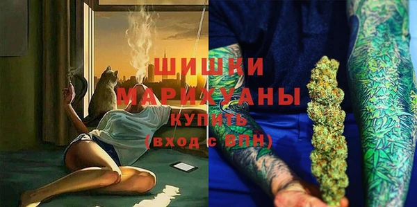 молекула духа Бородино