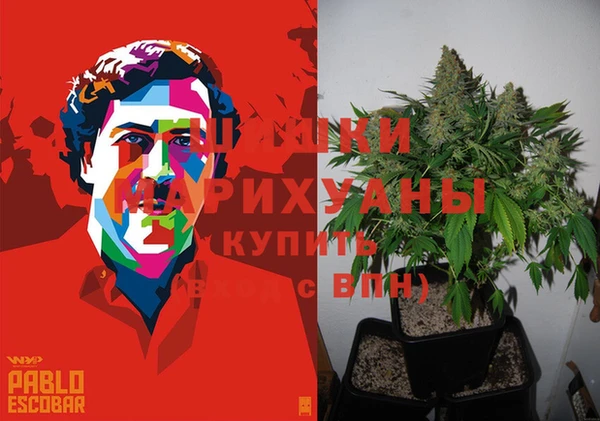 молекула духа Бородино