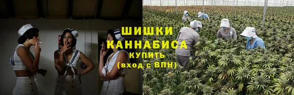молекула духа Бородино