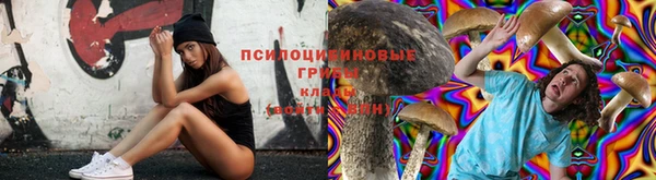 молекула духа Бородино