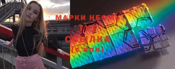 молекула духа Бородино