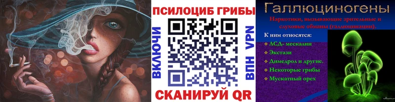 Купить  Судогда  Псилоцибиновые грибы ЛСД 